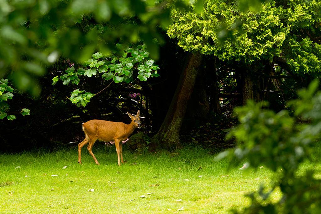 Yha Grasmere Butharlyp Howe Bagian luar foto